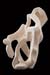 G_0854 copie