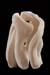 G_0888 copie