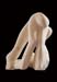 G_0967 copie